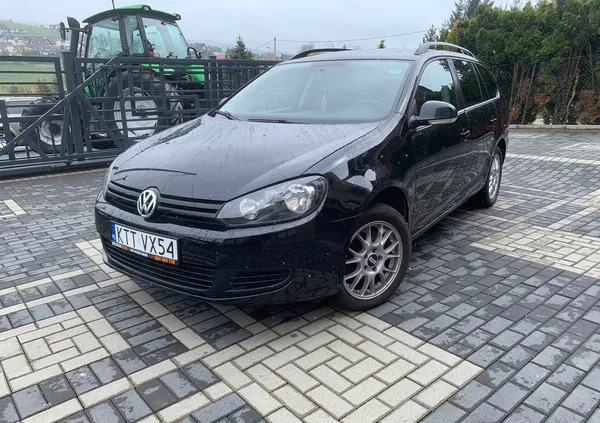 volkswagen Volkswagen Golf cena 19900 przebieg: 255000, rok produkcji 2011 z Biała Rawska